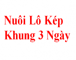 Mách bạn lô kép nuôi khung 3 ngày cực đơn giản